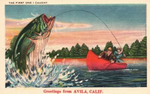 Greetings From AVILA California Fishing First One Catch Big Fish Postcard