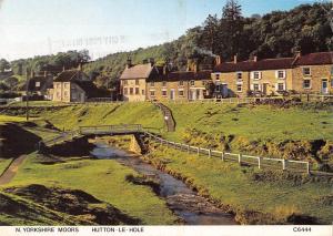 BR89204 n yorkshire moors hutton le hole  uk