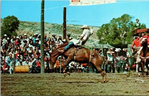 Western Rodeo Bucking Horse Rider Old West Postcard Vintage Unposted Unused 