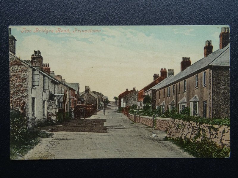 Devon PRINCETOWN Two Bridges Road c1906 Postcard by Valentine 55368