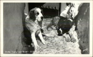 Timberline Lodge OR St. Bernard Dogs Lady & Bruel Real Photo Postcard