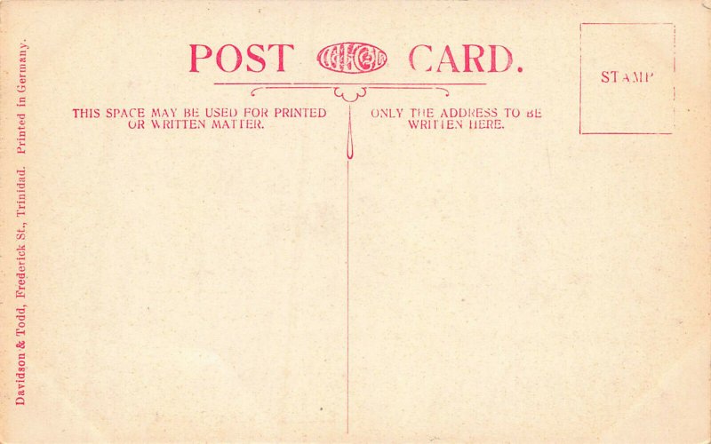 Botanical Gardens, Trinidad, Early Postcard, Unused 