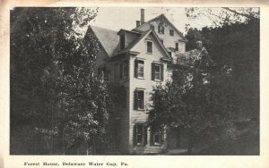 Vintage Postcard 1920's Forest House Delaware Water Gap PA Pennsylvania