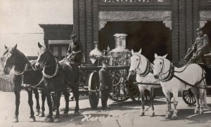 Postcard Horse Carriages Horse And Buggy Light Simple Means Of Transportation