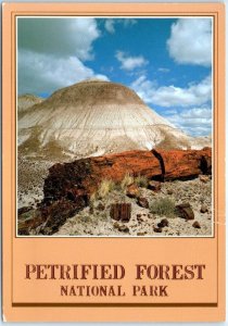 B-70660 Petrified Log at Long Logs, Petrified Forest National Park, Arizona