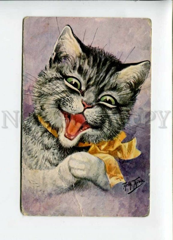 3156479 Dressed Cat KITTEN w/ Bow PORTRAIT by THIELE Vintage PC