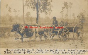 NC, Pinehurst, North Carolina, RPPC, Oxen Drawn Wagon, Photo