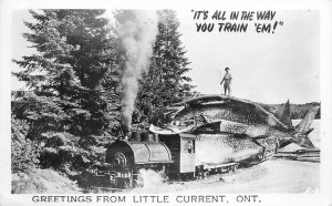 1950s Ontario Canada Exaggeration Fish Little current Photo Postcard 22-11433