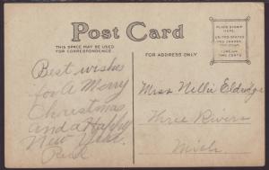 Christmas Greetings Holly