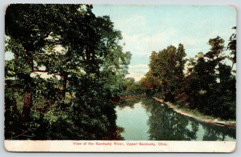 Upper Sandusky Ohio~Trees Reflect in Sandusky River~1908 Scenic Postcard 