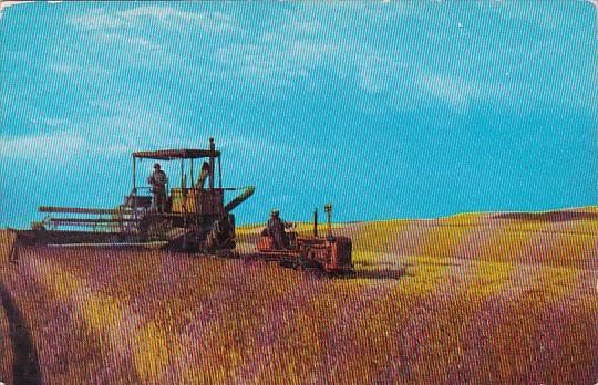 Tractor Combine Harvester Threshing Wheat In Eastern Washington