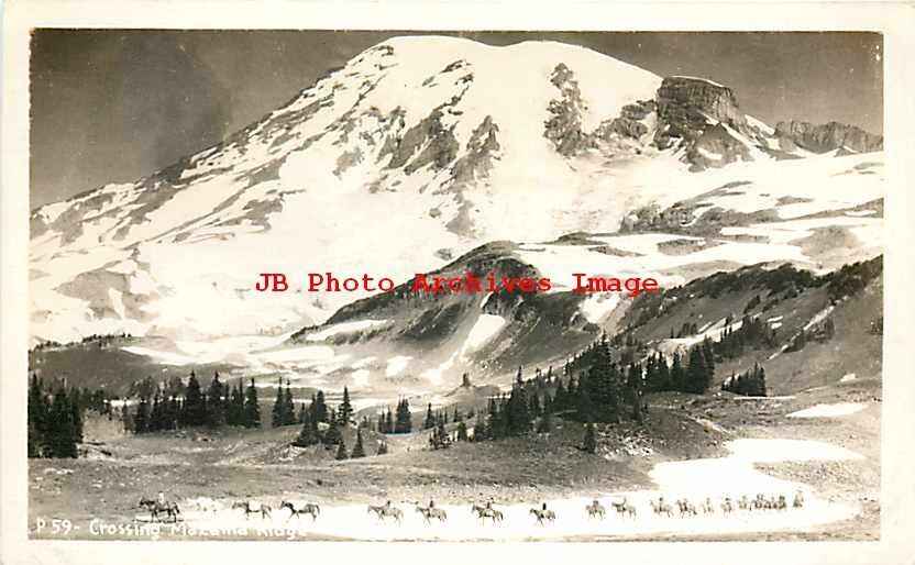 Ancien Grand Mont du Golfe Carte postale photo réelle RPPC Washington