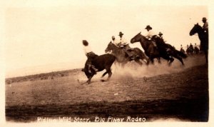 RPPC Real Photo Postcard - Riding Wild Steer - Big Piney Rodeo, Wyoming