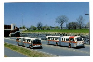 OC Transpo Buses, Transitway, near Queensway Station, Ottawa, Ontario