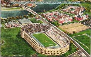 Harvard Stadium Cambridge MA Vintage UNUSED Postcard E76