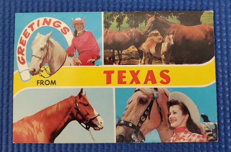 Vintage GREETINGS FROM TEXAS Horses DR-54449-B Postcard