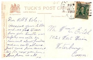 Dog   Spaniels  playing with coins