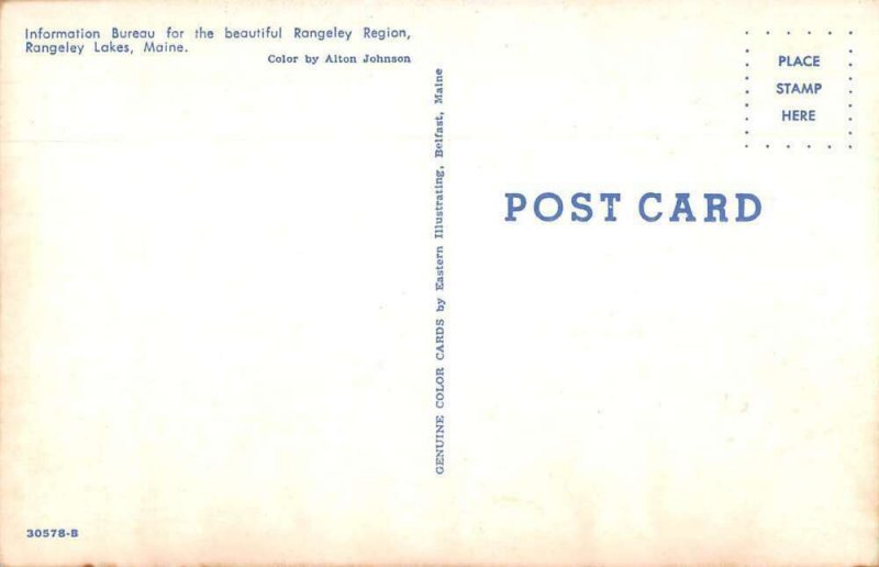 Rangeley Lakes Maine Information Bureau Vintage Postcard AA47618