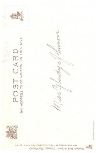 Easter , Girl , chicks Tuck's