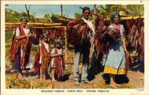 Secando Tabaca Drying Tobacco Costa Rica Vintage Linen Postcard D80