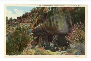 AZ - Flagstaff. Walnut Canyon Cliff Dwellings