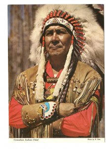 First Nations Man, Canadian Indian Chief, Living a Heritage, Canada