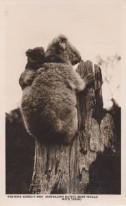 Koala Bear & Her Young Australian Vintage Real Photo Postcard