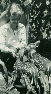 Postcard RPPC Woman feeding two Fawns in Kerrville, TX, with Ad on back.   T7