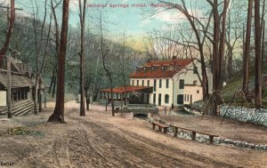 Vintage Postcard 1912 Mineral Springs Hotel Forest Trees Reading Pennsylvania PA
