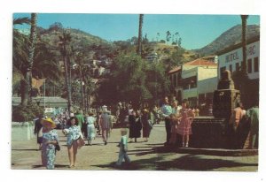 Postcard California CA  Avenida La Crescenta Avalon Santa Catalina Standard View