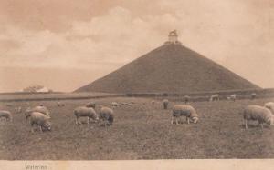 Waterloo Prussian French Gerome Belle Alliance Farm Monument 4x Postcard s