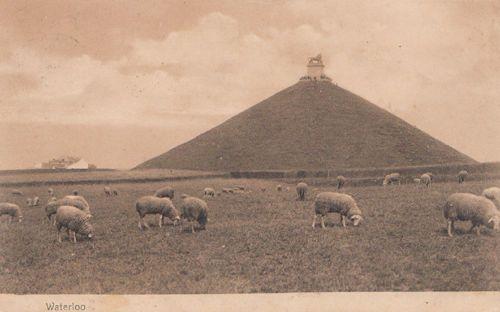 Waterloo Prussian French Gerome Belle Alliance Farm Monument 4x Postcard s