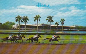 Horse Racing Hialeah Race Course Miami Florida