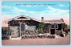 North Dakota Postcard Petrified Forest Headquarters Bad-Lands 1940 Vintage Linen