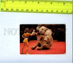 259816 USSR Circus trained elephant Pocket CALENDAR 1989 year