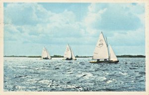 AALSMEER NETHERLANDS~ZEILSPORT-YACHTING-SAILING~ PHOTO POSTCARD