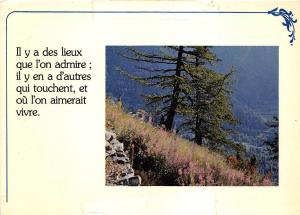 B50711 Arbres Il y a des lieux que l`on admite il y en a d`autres quo touchent