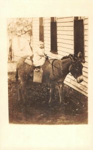 Edwardian Little baby on donkey rppc real photo postcard AQ122