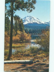 Pre-1980 LAKE SCENE Viola & Mineral - Near Red Bluff & Redding CA AE4219