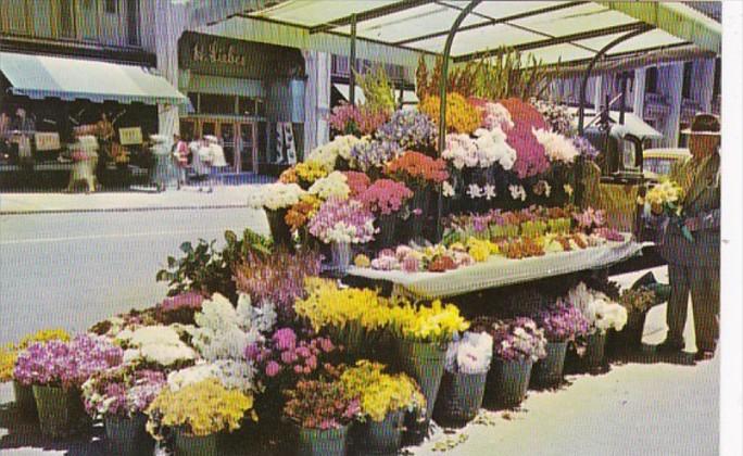 California San Francisco Sidewalk Flower Stands