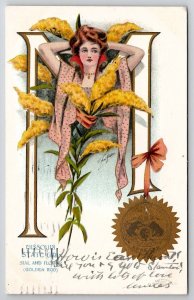 Missouri State Girl Seal Flower Golden Rod To McDowell VA Postcard X23