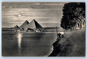 Giza Egypt Postcard View of the Pyramids of Giza and River c1910 Antique Posted