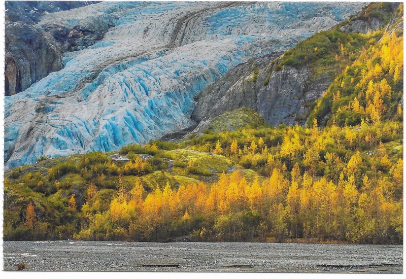 US Alaska Exit Glacier in Ken Fjords National Park.  Beautiful.  Mint card -