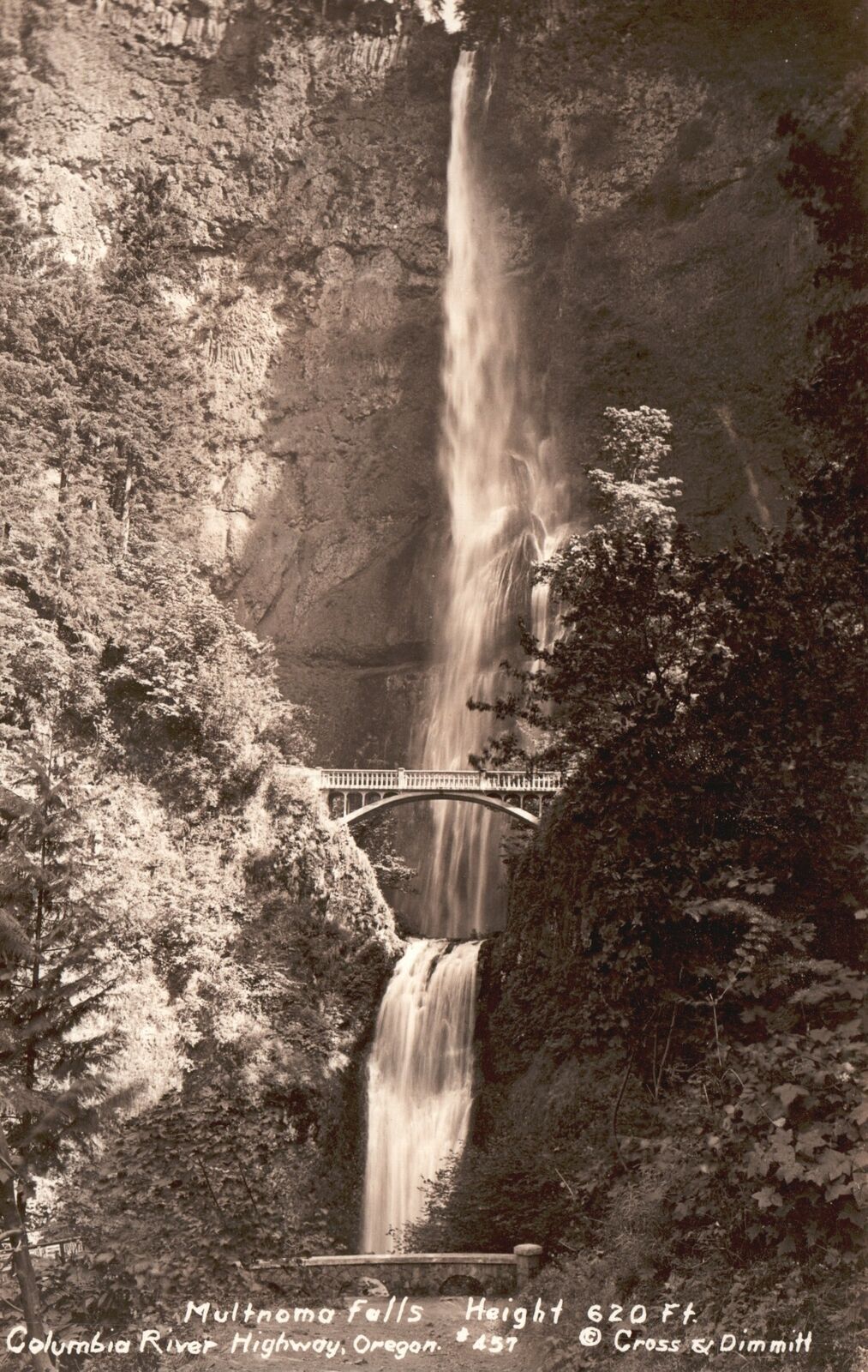 Vintage Postcard 1900's Multnomah Falls Waterfall Columbia River