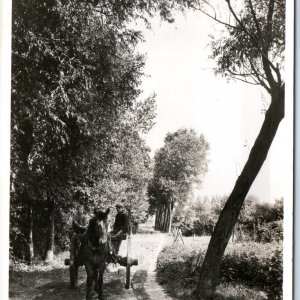 c1930s North Brabant, Netherlands RPPC Horse Cart Dirt Road Tree-Lined Path A336