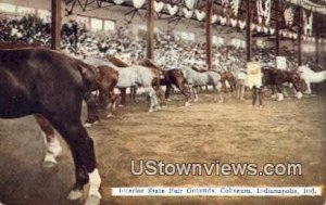 Interior State Fair Grounds, Coliseum - Indianapolis s, Indiana IN  