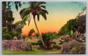 Hand Colored Sunny Scenes  Winter Park  Florida   Postcard