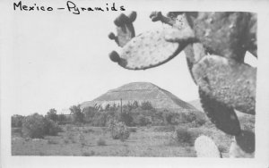 RPPC Mexico - Pyramids Cactus Piramide del Sol? c1910s Vintage Postcard