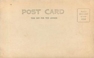 c1905 RPPC Postcard Oval Vignette Portrait of Spaniel Dog Unknown US location