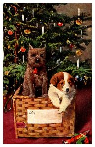 Dogs in a basket , Christmas tree